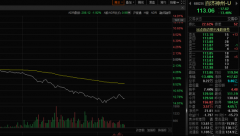 {网上期货配资}全市场都在狂欢 百济神州却崩了啥情况？