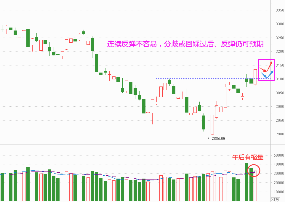 逼空反弹够强 可以有想法吗？